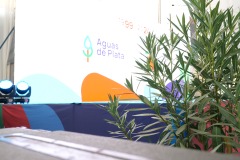 aguas_plata_3_270